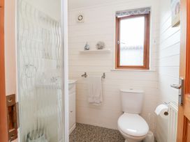 A bathroom with a shower, sink, and toilet at Ocean Terrace 28 Ilfracombe
