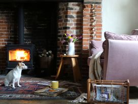 A living room with a dog and fireplace at The Old Post Box 
