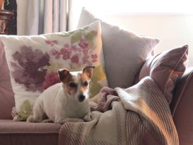 A living room with a dog on a sofa at The Old Post Box in 