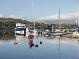 A marina with boats and ducks at Feather Hill Lodge White Cross Bay near Troutbeck Bridge