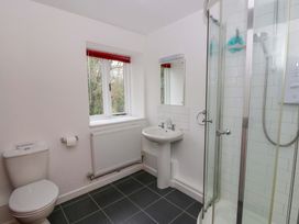 A bathroom with a shower, sink, and toilet at The Old Sunday School in Cwmwysg near Sennybridge