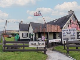 An outdoor coffee cabin with signs and a cactus at Uncle Bucks in Limavady