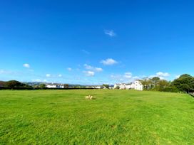 A field with two dogs and houses in the background at Upper Stable - The Stables Apartments at Meadfoot Bay, Torquay