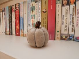 A pumpkin on a shelf with books at Starlight Cottage