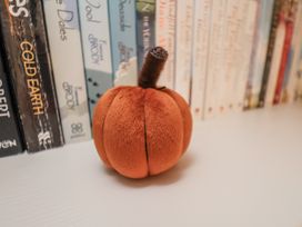 A pumpkin decoration on a shelf beside books at Starlight Cottage