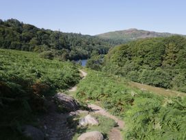 A pathway through ferns and trees near a lake at Park View Ambleside