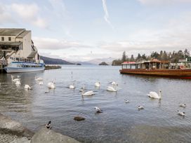 A lake view with swans and boats at The Burrow in Windermere
