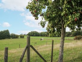A field with a tree and horses at Pear Trees in Bewdley