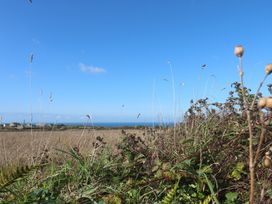 A view of the ocean with grass and plants at 12 Boswedden Terrace St Just