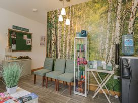 A waiting room with a birch tree wall and green chairs at Willow Cottage in Whiteparish