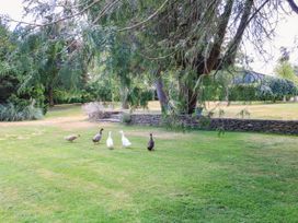 A garden with ducks walking on grass at The Mount in Chippenham