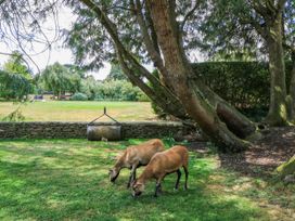A garden with sheep grazing near a stone wall at The Mount in Chippenham