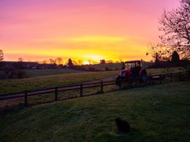 A tractor by a fence at sunset with a cat in the grass at Nature's Lodge in Cookley