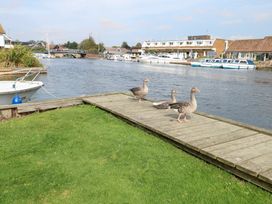 A dock area with a boat, water, and geese at Cotman Cottage, Norwich