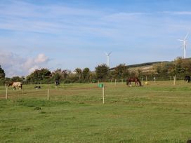 A field with horses grazing and wind turbines at The Lodge Bolinahaney Bunclody, County Wexford