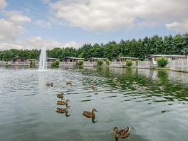 A water feature with ducks and cabins at Pear Tree Carlton Miniott near Thirsk