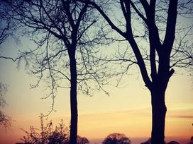 Goosewood Holiday Park - Holiday Accommodation 10547 - North Yorkshire (incl. Whitby) - 1184923 - thumbnail photo 7