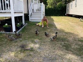 Wild Duck Holiday Park - Holiday Accommodation 10940 - Norfolk - 1184986 - thumbnail photo 15