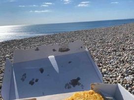 Weymouth Bay Holiday Park - Holiday Accommodation 11734 - Dorset - 1185100 - thumbnail photo 16