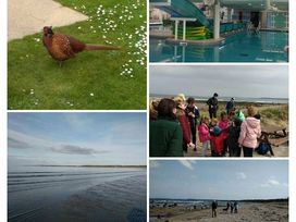 Seton Sands Caravan Park - Holiday Accommodation 11744 - Scottish Lowlands - 1185101 - thumbnail photo 10