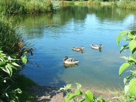 White Acres Holiday Park - Holiday Accommodation 119 - Cornwall - 1185125 - thumbnail photo 10