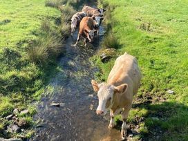 Black Beck Farm - Holiday Accommodation 1212 - Lake District - 1185152 - thumbnail photo 14