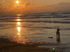 Pinewoods Holiday Park - Holiday Accommodation 12627 - Norfolk - 1185228 - thumbnail photo 19