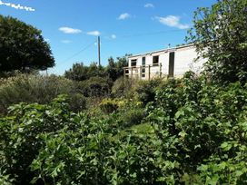 Gwarallt Bungalow - Holiday Accommodation 12891 - Mid Wales - 1185261 - thumbnail photo 13