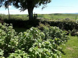 Gwarallt Bungalow - Holiday Accommodation 12891 - Mid Wales - 1185261 - thumbnail photo 16