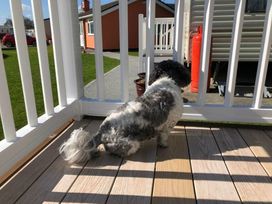 The Bungalow Camp Caravan Park - Holiday Accommodation 12935 - North Wales - 1185270 - thumbnail photo 11