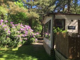 Kelling Heath Holiday Park - Holiday Accommodation 12993 - Norfolk - 1185282 - thumbnail photo 1