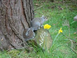 Kelling Heath Holiday Park - Holiday Accommodation 12993 - Norfolk - 1185282 - thumbnail photo 15