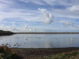 A landscape with swans on water at Littlesea Holiday Park - Holiday Accommodation 13127 Weymouth