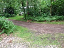 Kelling Heath Holiday Park - Holiday Accommodation 13133 - Norfolk - 1185303 - thumbnail photo 14