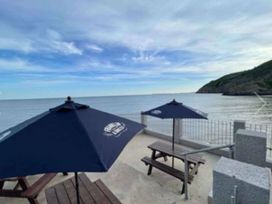Pendine Sands - Holiday Accommodation 13567 - South Wales - 1185358 - thumbnail photo 12