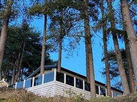 Rockley Park - Holiday Accommodation 14325 - Dorset - 1185509 - thumbnail photo 18