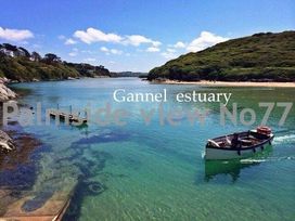 Trevella Park - Holiday Accommodation 14424 - Cornwall - 1185523 - thumbnail photo 3