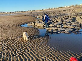 Trecco Bay - Holiday Accommodation 14656 - Somerset & Wiltshire - 1185573 - thumbnail photo 12