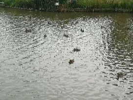 Sand Le Mere Holiday Village - Holiday Accommodation 14957 - North Yorkshire (incl. Whitby) - 1185646 - thumbnail photo 7