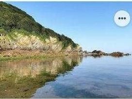 Hele Valley Holiday Park - Holiday Accommodation 15137 - Devon - 1185687 - thumbnail photo 17