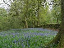 Black Beck Farm - Holiday Accommodation 1541 - Lake District - 1185744 - thumbnail photo 11