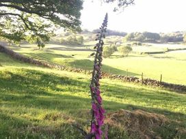 Black Beck Farm - Holiday Accommodation 1541 - Lake District - 1185744 - thumbnail photo 13