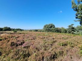 Kelling Heath Holiday Park - Holiday Accommodation 15438 - Norfolk - 1185748 - thumbnail photo 17