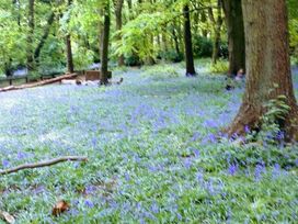 Aberdunant Hall Holiday Park - Holiday Accommodation 15557 - North Wales - 1185776 - thumbnail photo 15