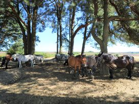 A group of horses standing under trees in a field at Pine Tree Lodge - Shorefield Country Park, Milford On Sea
