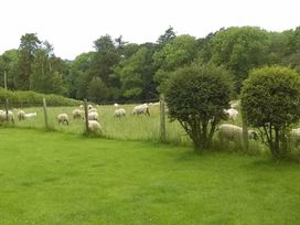 Aeron Retreat - Holiday Accommodation 15570 - Mid Wales - 1185778 - thumbnail photo 11
