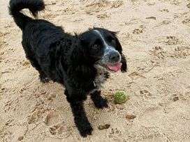 Wild Duck Holiday Park - Holiday Accommodation 16348 - Norfolk - 1185989 - thumbnail photo 11