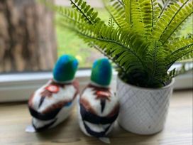 Wild Duck Holiday Park - Holiday Accommodation 16348 - Norfolk - 1185989 - thumbnail photo 17