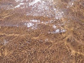 Dawlish Sands Holiday Park - Holiday Accommodation 16455 - Devon - 1186022 - thumbnail photo 16