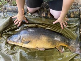 7 Lakes Country Park - Holiday Accommodation 17097 - Lincolnshire - 1186210 - thumbnail photo 8